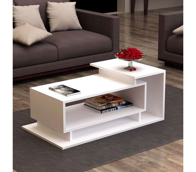 #6037 Center Table 50*100 cm